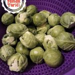Vegan Kabak Mücveri