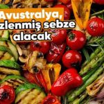 Zencefilli Fırında Baharatlı Havuç Dilimleri
